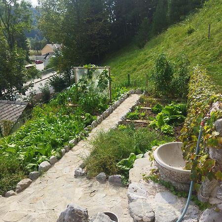Natur apartma Rudi Begunje Exterior foto