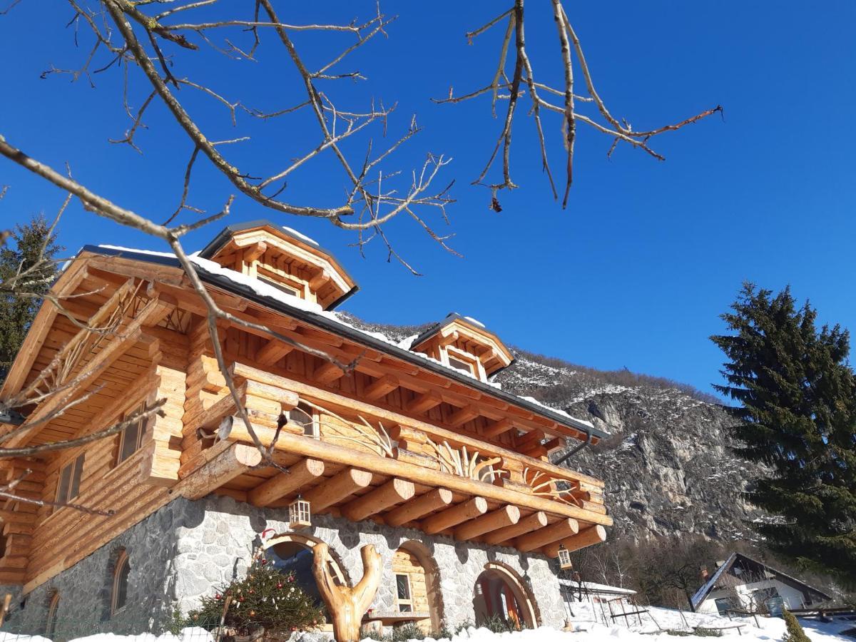 Natur apartma Rudi Begunje Exterior foto