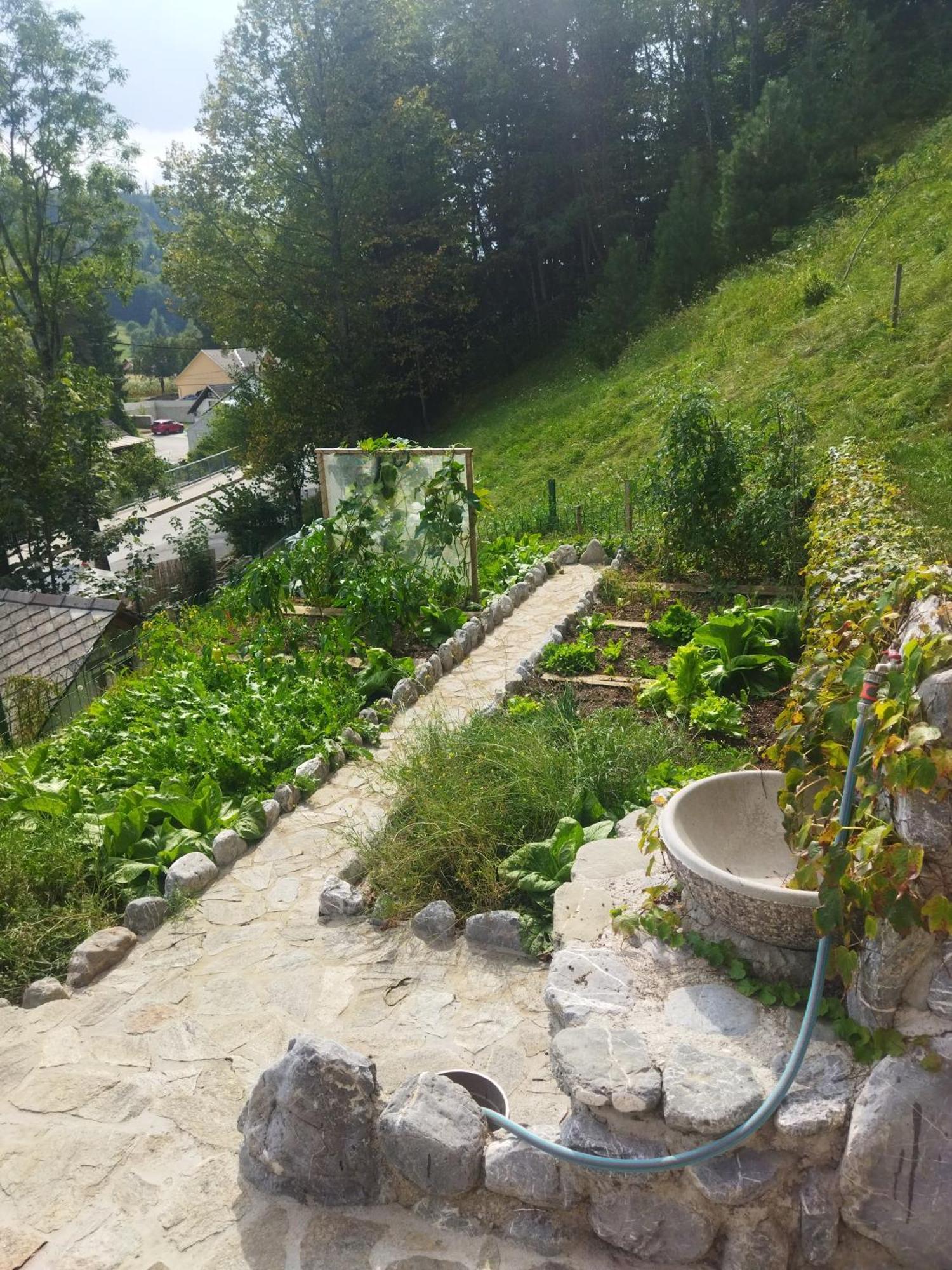 Natur apartma Rudi Begunje Exterior foto